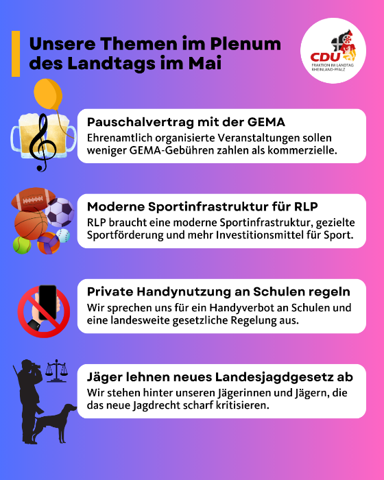 Schaubild der Plenarinitiativen im Mai 2025